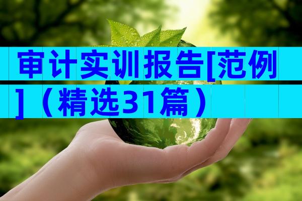 审计实训报告[范例]（精选31篇）
